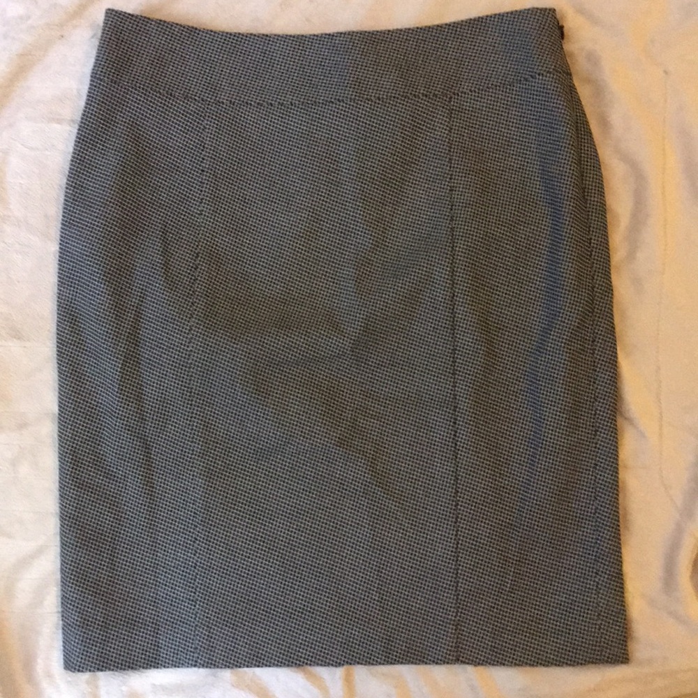 The Limited size 2 Skirt